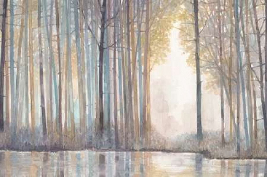 Forest Reflections Canvas Art - Norman Jr Wyatt (24 x 36)