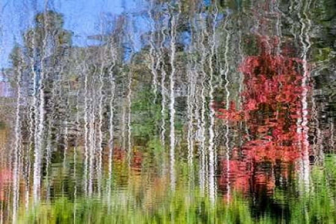 Forest Reflections I Canvas Art - Kathy Mahan (24 x 36)