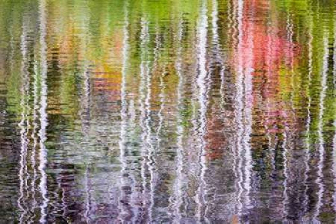 Forest Reflections II Canvas Art - Kathy Mahan (12 x 18)