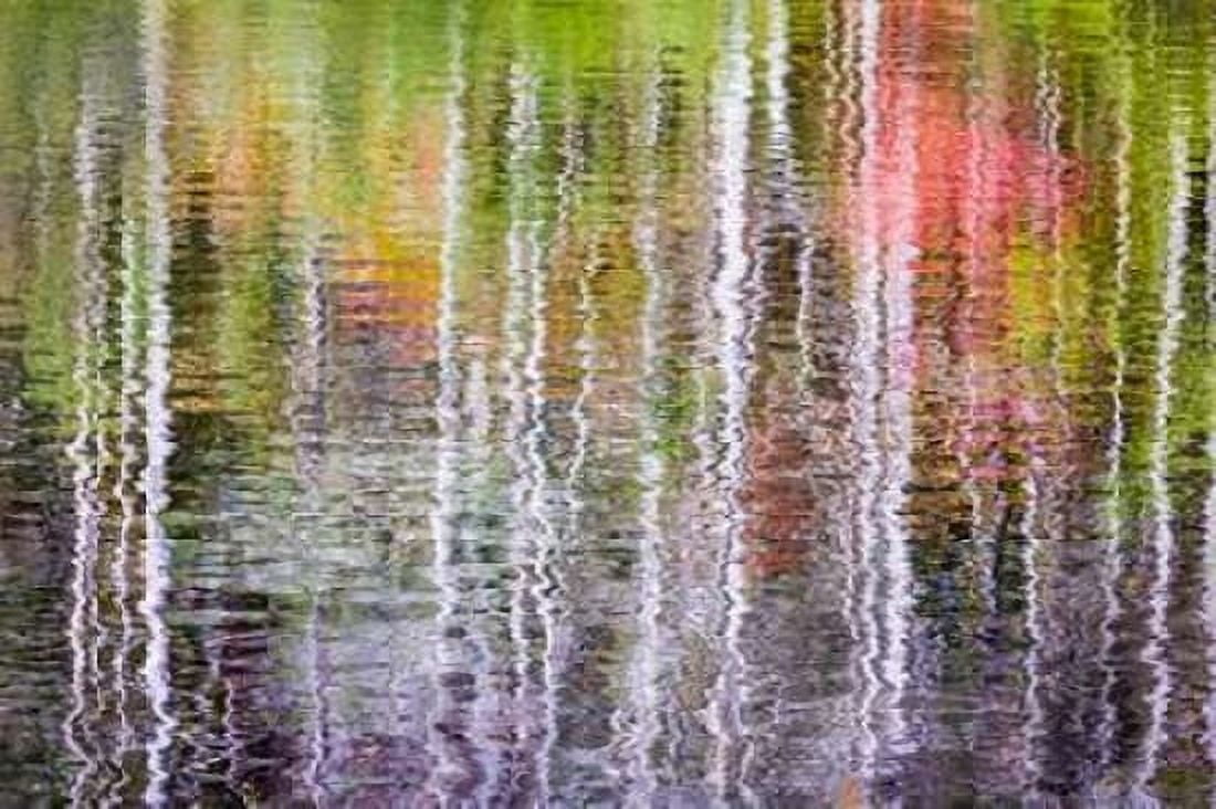 Forest Reflections II Canvas Art - Kathy Mahan (24 x 36)