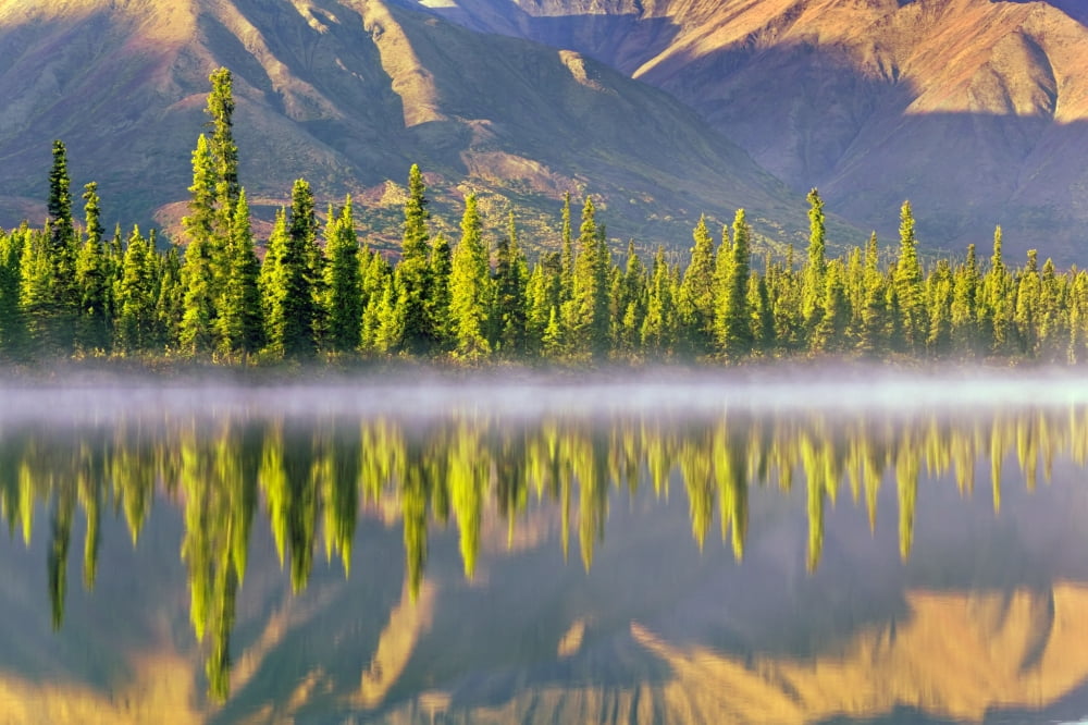 Forest Reflects In Drashner Lake WMist Along Shoreline Ak Range In Background Southcentral Alaska Autumn Canvas Art - Kevin Smith Design Pics (17 x 11)