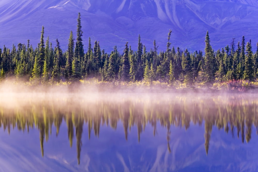Forest Reflects In Drashner Lake WMist Along Shoreline Ak Range In Background Southcentral Alaska Autumn Canvas Art - Kevin Smith Design Pics (34 x 22)