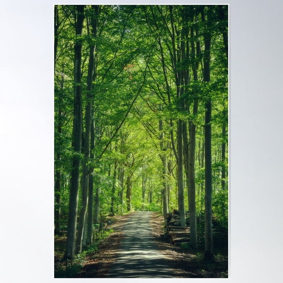 Forest Road Poster Wall Art, Modern Wall Decor For Living Room Bedroom, 8x12 UNFRAMED