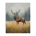 thumbnail image 1 of Stupell Industries Forest Royalty Elk Canvas Wall Art, design by Julia Purinton, 20 x 16, 1 of 7