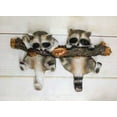 thumbnail image 1 of Forest Rustic 2 Playful Raccoons Dangling On Tree Branch 6 Pegs Wall Hook Decor, 1 of 6