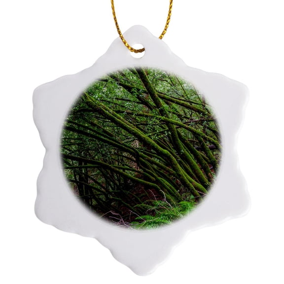 3drose, Forest Scene in Muir Woods State Park, Mill Valley, Ca, 3 inch Snowflake Porcelain Ornament