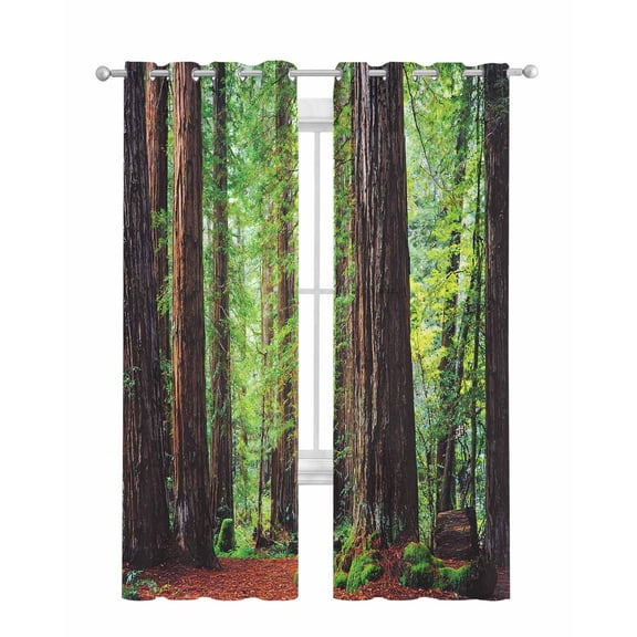 Forest Sheer Curtains 84 Inch Length 2 Panels Set for Living Room/Bedroom, Modern Art Summer Botanical Trees Kitchen Curtains with Grommet Semi-Sheer Curtains Drapes Voile Window Treatments 42"x84"x2