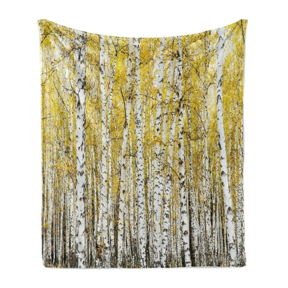 Forest Soft Flannel Fleece Blanket, Autumn Birch Forest Golden Yellow Leaves Woodland October Seasonal Nature Picture, Cozy Plush for Indoor and Outdoor Use, 60" x 80", Yellow Grey, by Ambesonne
