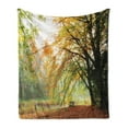 thumbnail image 1 of Forest Soft Flannel Fleece Blanket, Autumn View in a Forest with Faded Color Leaves European Northern Dutch Fall Image, Cozy Plush for Indoor and Outdoor Use, 70" x 90", Orange Green, by Ambesonne, 1 of 5