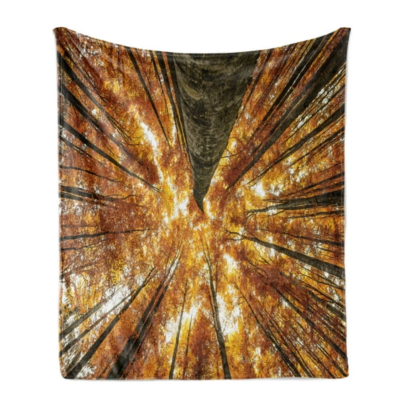 Forest Soft Flannel Fleece Blanket, Big High Beech Trees Deciduous Shedding Canadian Maples America Inspired Idyllic, Cozy Plush for Indoor and Outdoor Use, 60" x 80", Orange Brown, by Ambesonne