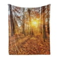 thumbnail image 1 of Forest Soft Flannel Fleece Blanket, Foggy Sunset Vibrant Sunbeams Rural Country Woodland in Fall Scenery Image, Cozy Plush for Indoor and Outdoor Use, 50" x 70", Orange Brown Yellow, by Ambesonne, 1 of 5