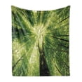 thumbnail image 1 of Forest Soft Flannel Fleece Blanket, Nature Woodland Scene of a Giant Tree Spring Branches and Sunbeams Photo, Cozy Plush for Indoor and Outdoor Use, 70" x 90", Green and Dark Green, by Ambesonne, 1 of 5