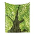 thumbnail image 1 of Forest Soft Flannel Fleece Blanket, Old Big Majestic Tree Environment Countryside Eco Solidarity National Park Scenery, Cozy Plush for Indoor and Outdoor Use, 50" x 70", Green Brown, by Ambesonne, 1 of 6