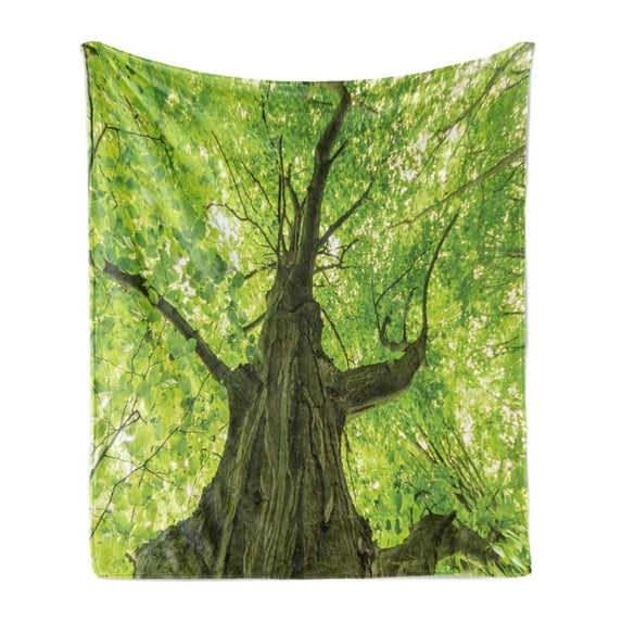 Forest Soft Flannel Fleece Blanket, Old Big Majestic Tree Environment Countryside Eco Solidarity National Park Scenery, Cozy Plush for Indoor and Outdoor Use, 50" x 70", Green Brown, by Ambesonne