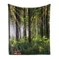 thumbnail image 1 of Forest Soft Flannel Fleece Blanket, Pathway in a Shady Forest of Bushes and Thick Trunks Grass Unique Wild Life Scenery, Cozy Plush for Indoor and Outdoor Use, 70" x 90", Green Brown, by Ambesonne, 1 of 5