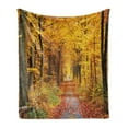 thumbnail image 1 of Forest Soft Flannel Fleece Blanket, Seasonal Foliage Leaves Bushes in Autumn Colors Countryside Pathway in Forest, Cozy Plush for Indoor and Outdoor Use, 50" x 70", Yellow and Brown, by Ambesonne, 1 of 5