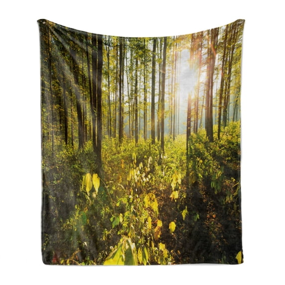 Forest Soft Flannel Fleece Blanket, Trees Sun Rays in Woods Foliage Greenery Scenic Outdoors Tranquil Untouched, Cozy Plush for Indoor and Outdoor Use, 50" x 60", Green Yellow Brown, by Ambesonne