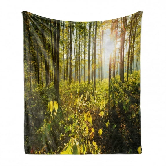 Forest Soft Flannel Fleece Blanket, Trees Sun Rays in Woods Foliage Greenery Scenic Outdoors Tranquil Untouched, Cozy Plush for Indoor and Outdoor Use, 70" x 90", Green Yellow Brown, by Ambesonne
