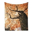 thumbnail image 1 of Forest Soft Flannel Fleece Throw Blanket, Body of Old Tree ling Botany Woodsy Roots Falling Maple Leaf Design Print, Cozy Plush for Indoor and Outdoor Use, 60" x 80", Orange Brown, by Ambesonne, 1 of 5