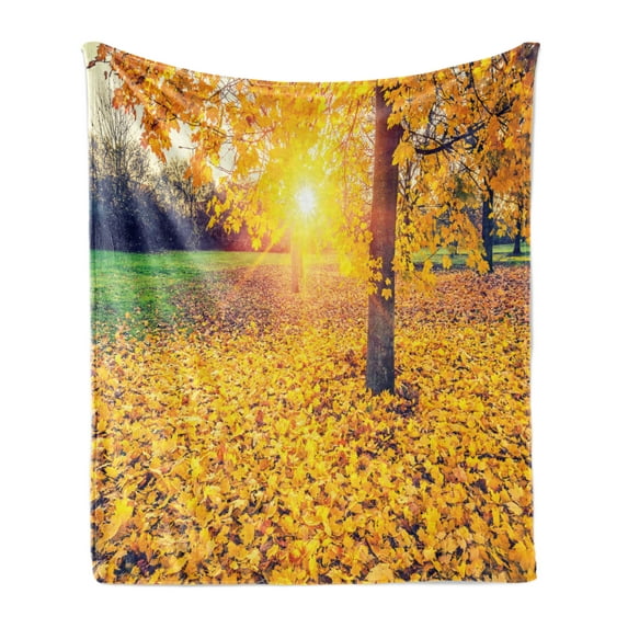 Forest Soft Flannel Fleece Throw Blanket, Colorful Foliage in the Autumn Park Evening View Natural Inspired Picture Print, Cozy Plush for Indoor and Outdoor Use, 50" x 60", Yellow Green, by Ambesonne