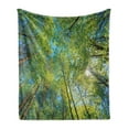 thumbnail image 1 of Forest Soft Flannel Fleece Throw Blanket, Evergreen Back Nature Area Mother Earth Lime Trunk Mangrove Flora Willow Photography, Cozy Plush for Indoor and Outdoor Use, 50" x 60", Green, by Ambesonne, 1 of 5