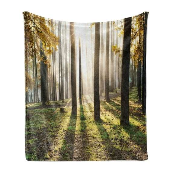 Forest Soft Flannel Fleece Throw Blanket, Landscape Sunrise in the Forest Leaves in Seasonal Woodland Scenery Photo, Cozy Plush for Indoor and Outdoor Use, 50" x 60", Yellow Green Brown, by Ambesonne