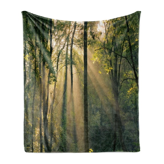 Forest Soft Flannel Fleece Throw Blanket, Morning Sunrays Through Trees Summertime Countryside Scenic View, Cozy Plush for Indoor and Outdoor Use, 60" x 80", Green Beige Black, by Ambesonne