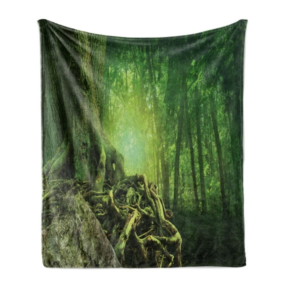 Forest Soft Flannel Fleece Throw Blanket, Mysterious Woods Landscape Old Trees, Cozy Plush for Indoor and Outdoor Use, 60" x 80", Lime Green Forest Green, by Ambesonne