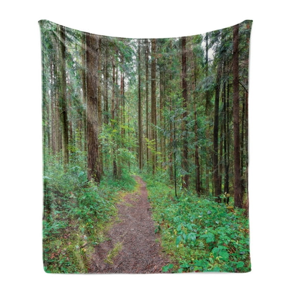 Forest Soft Flannel Fleece Throw Blanket, Natural Atmosphere Path into the Jungle, Cozy Plush for Indoor and Outdoor Use, 50" x 70", Green Taupe, by Ambesonne