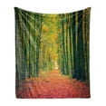 thumbnail image 1 of Forest Soft Flannel Fleece Throw Blanket, Pathway in Autumn Dramatic Road to Infinity Toned Warm Fall Colors Rural Scenery Print, Cozy Plush for Indoor and Outdoor Use, 70" x 90", Green, by Ambesonne, 1 of 5