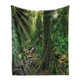 thumbnail image 1 of Forest Soft Flannel Fleece Throw Blanket, Rain Woodland Scenery River in the North Forest in the Early Morning Humid Fog Print, Cozy Plush for Indoor and Outdoor Use, 70" x 90", Green, by Ambesonne, 1 of 5
