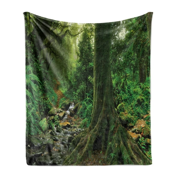 Forest Soft Flannel Fleece Throw Blanket, Rain Woodland Scenery River in the North Forest in the Early Morning Humid Fog Print, Cozy Plush for Indoor and Outdoor Use, 70" x 90", Green, by Ambesonne