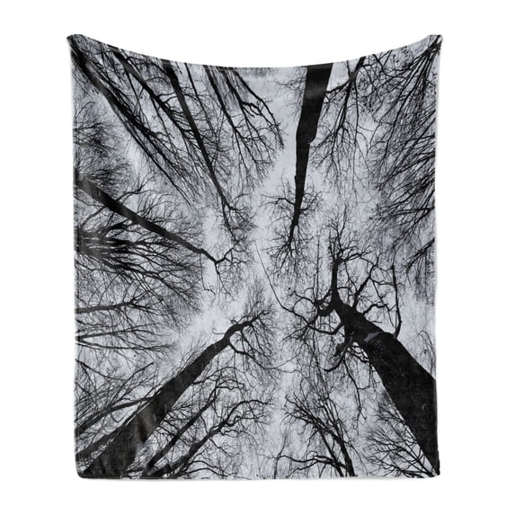 Forest Soft Flannel Fleece Throw Blanket, Scary Winter Tops of the Trees Dark Dramatic Silhouettes Enchanted Nature Image, Cozy Plush for Indoor and Outdoor Use, 70" x 90", Black Grey, by Ambesonne