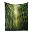 thumbnail image 1 of Forest Soft Flannel Fleece Throw Blanket, Summer Trees Upward View with Sunrays Leaking from Branches Nature Image, Cozy Plush for Indoor and Outdoor Use, 70" x 90", Fern Green Yellow, by Ambesonne, 1 of 6