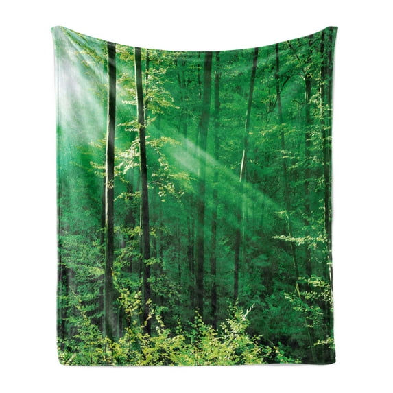 Forest Soft Flannel Fleece Throw Blanket, Sun Rays Bursting into the Forest Trees Foliage Misty Morning Serenity Picture, Cozy Plush for Indoor and Outdoor Use, 50" x 60", Green White, by Ambesonne