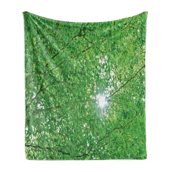 Forest Soft Flannel Fleece Throw Blanket, Sun Through Tree Branch and Leaf Top Relaxing Peaceful Serene Environment Rural Design, Cozy Plush for Indoor and Outdoor Use, 50" x 70", Green, by Ambesonne
