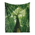 thumbnail image 1 of Forest Soft Flannel Fleece Throw Blanket, Tall Old Tree View Sun Rays Top Branches Leaves Nature Picture, Cozy Plush for Indoor and Outdoor Use, 60" x 80", Green Pale Green Brown, by Ambesonne, 1 of 6