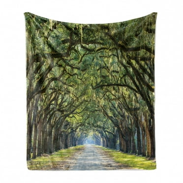 Forest Soft Flannel Fleece Throw Blanket, Tranquil Pathway Strong Spring Trees Serene Nature Trekking Theme, Cozy Plush for Indoor and Outdoor Use, 50" x 70", Green and Brown, by Ambesonne