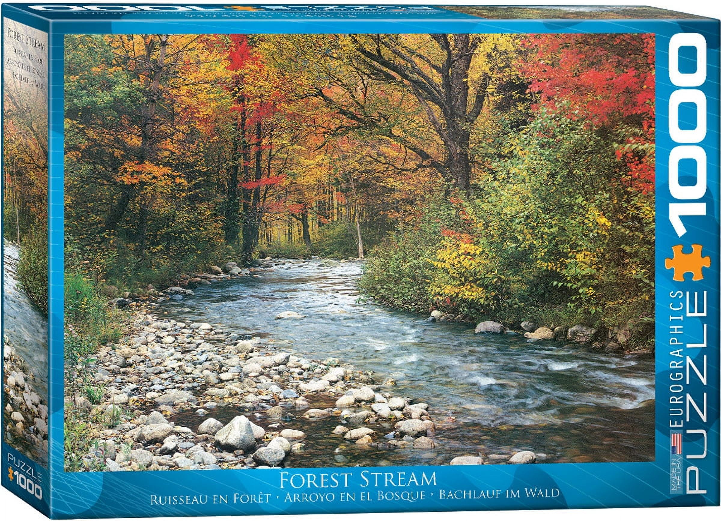 Forest Stream 1000-Piece Puzzle