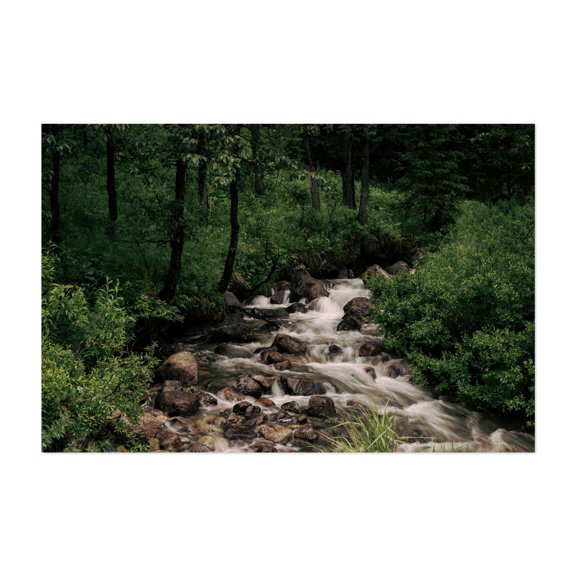 Forest Stream - Alaska Photography Unframed Wall Art Print 5 x 7 inches