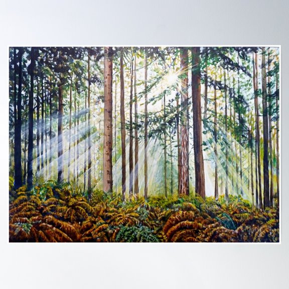 Forest Sunlight, Poster Wall Art, Modern Wall Decor, 8x12 UNFRAMED