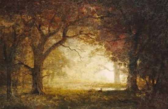 Forest Sunrise Canvas Art - Albert Bierstadt (12 x 18)