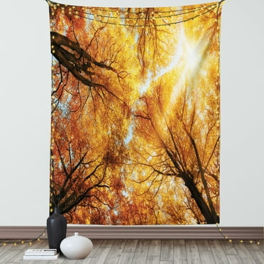 Forest Tapestry, Fall Autumn Season Sun Beaming Through the Trees Freshening Picture, Wall Hanging for Bedroom Living Room Dorm Decor, 60W X 80L Inches, Orange Yellow Dark Brown, by Ambesonne
