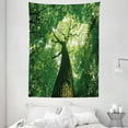 thumbnail image 1 of Forest Tapestry, Tall Old Tree Bottom View with Sun Rays Tree Top Branches Leaves Nature Picture, Wall Hanging for Bedroom Living Room Dorm Decor, 60W X 80L Inches, Green Brown, by Ambesonne, 1 of 2