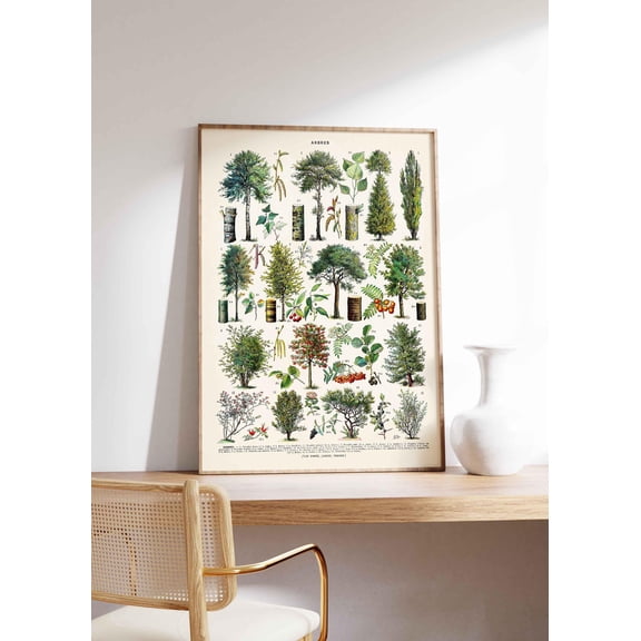 Forest Trees Print French Vintage Poster Arbres Wall Decoration Botanical Deciduous Trees with Label Adolphe Millot, Poster Only