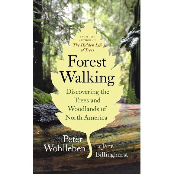 Forest Walking: Discovering the Trees and Woodlands of North America (Paperback)