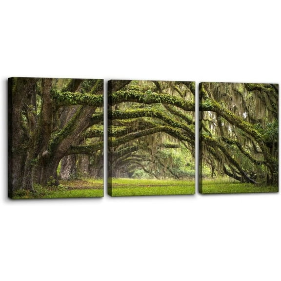 Forest Wall Art Set of 3 - Oaks Avenue Charleston SC Plantation Live Oak Trees Forest Landscape - Perfect for Modern Home Decor - Ideal Wall Decor for Living Room Bedroom and Office (12"x16"x3)