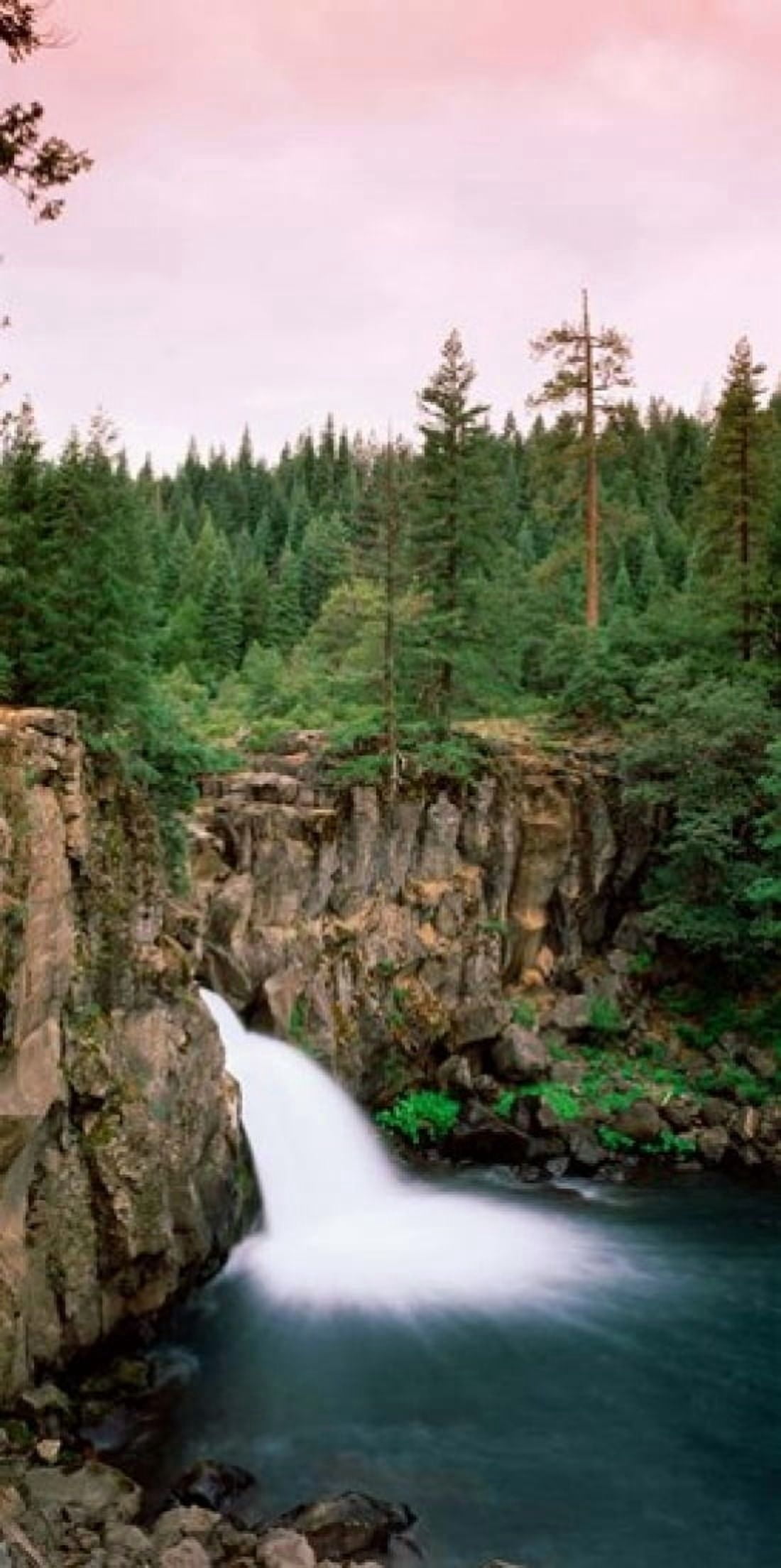 Forest Waterfall Shasta California Canvas Art - Panoramic Images (12 x 25)