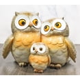 thumbnail image 1 of Forest Whimsical Mother Father Owls And Baby Owlet Family Trio Figurine, 1 of 9