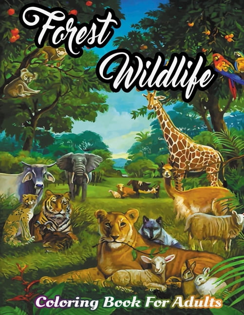  Timeless Creations Coloring Book: An Adult Coloring Book  Featuring Beautiful Forest Animals, Birds, Plants and Wildlife For Stress  Relief and Relaxation: 9798774853748: Katty, Marry: Books